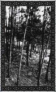 Cripta Oculta : Inabalável Orgulho Pagão